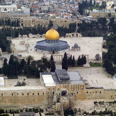 AbuHadidjaOfficial Profile Picture