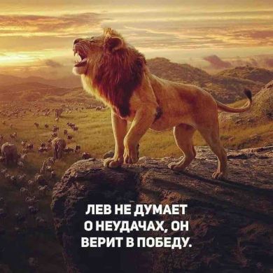 umma1896 Profile Picture