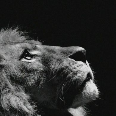 karimov_6677 Profile Picture