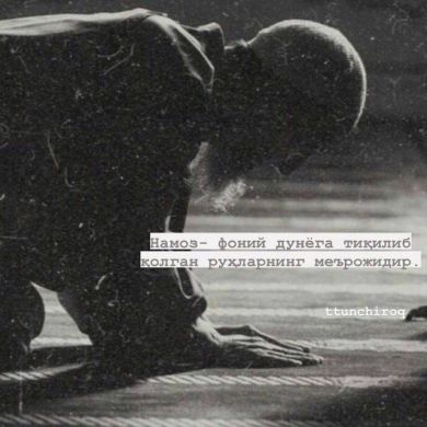 Muhammad Al Kurdi Profile Picture