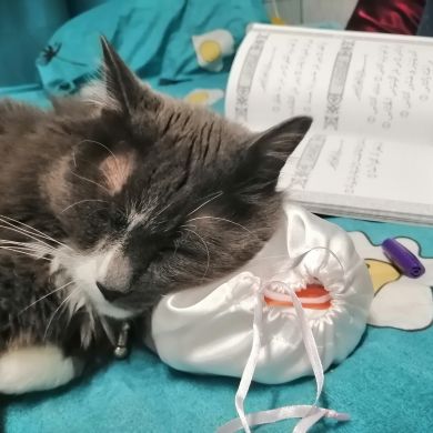 Salma Artemyeva Profile Picture