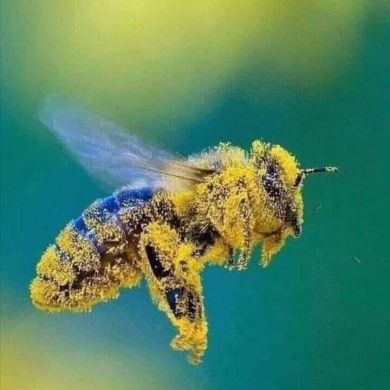 Медер Кабылбеков