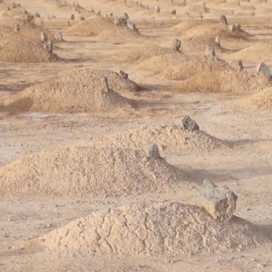 Hamza Sulaymon Profile Picture