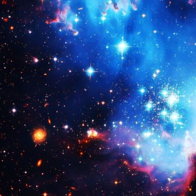 Рашид Панин Profile Picture