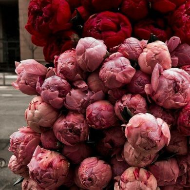 ملاك فاطمة Profile Picture