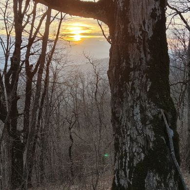 Ahmad Arbiev Profile Picture