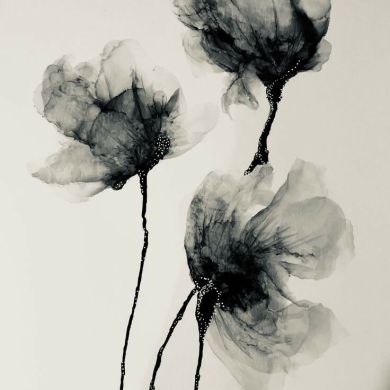 نسرين إبراهيم Profile Picture