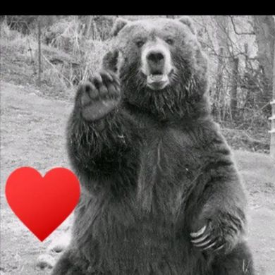 Abujulaybib Abujulaybib Profile Picture