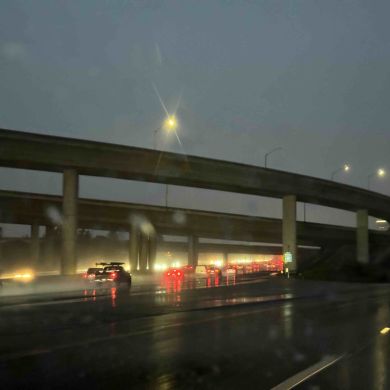 slmtms Profile Picture