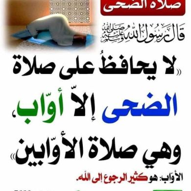 Mohammed amine afkari