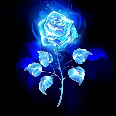 Nomelezz6th5 Profile Picture