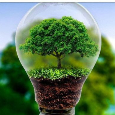 Abu husniya Abu merj