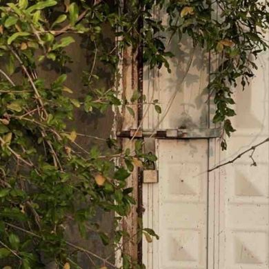 Саида бинт Адм