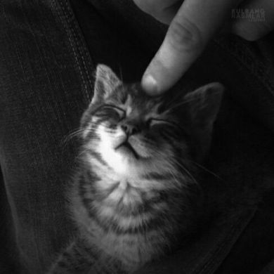 Мухаммад Мирзо