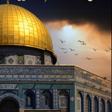 عبدالحكيم محمد Profile Picture