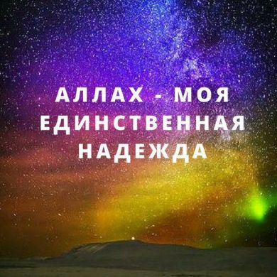 حمیدالله علیمآو Profile Picture