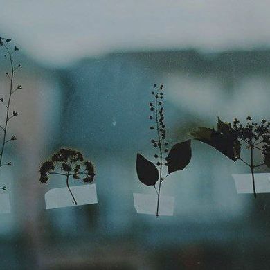 Yusuf Blog Profile Picture