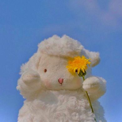 Dildora Khoshimova Profile Picture