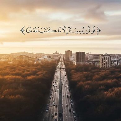 محمد أمين الدبابي