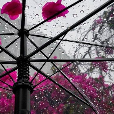 Bint Hamzah Profile Picture