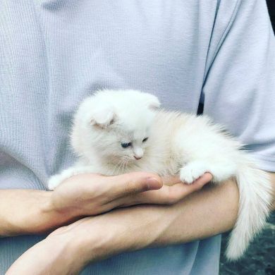 FIRDAVS KUCHKAROV Profile Picture