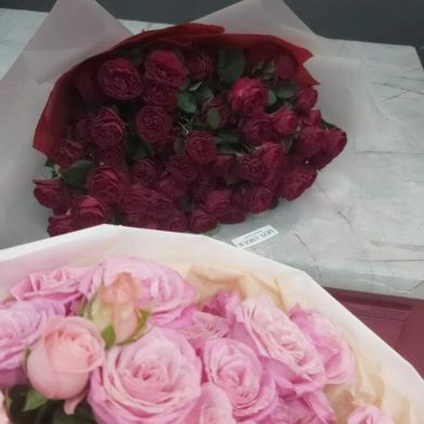 Nukhaeva Nafisa Profile Picture