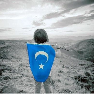 Malik Said Profile Picture