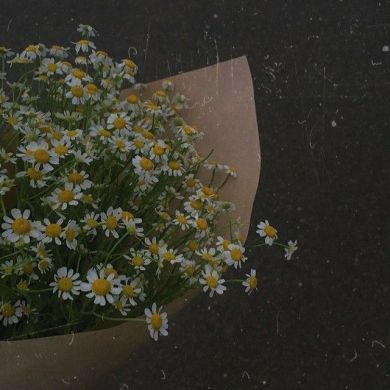 Aish Ahmadalieva Profile Picture