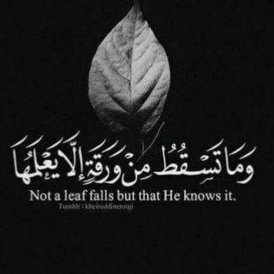 العلم نور Profile Picture