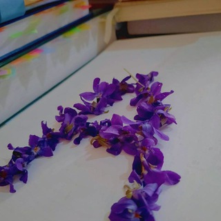 Telegram: Join Group Chat