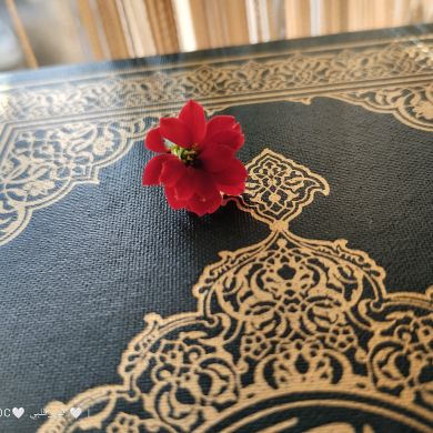 Fiy Qolbiy08 Profile Picture