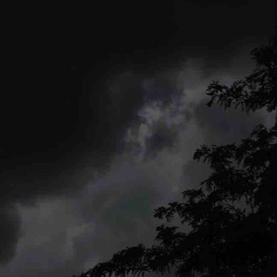 almusafir Profile Picture