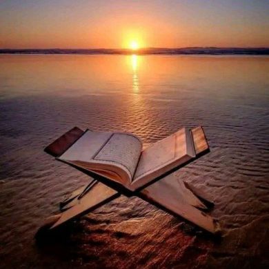 Wesila Kedir Profile Picture