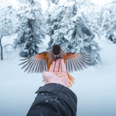 хадиджа Бин Сулейман Profile Picture