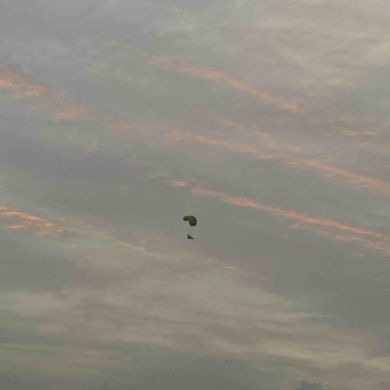 وجدان الدوسري