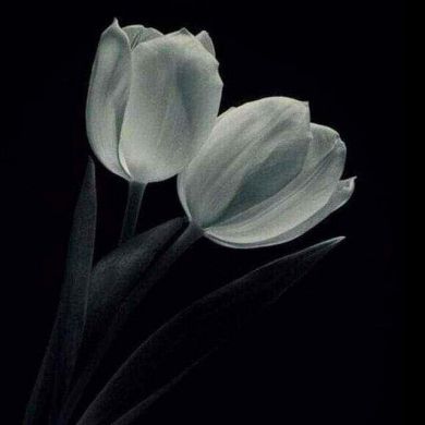 Munisa Saabit Profile Picture