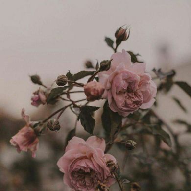 Kun Hikmati Profile Picture