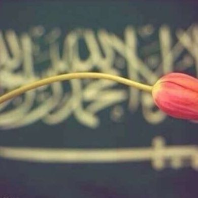 САЛЯФИЯ Shishani