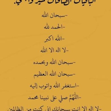 mohamed guessmi Profile Picture