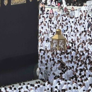 Boysari Ibragimovich Profile Picture