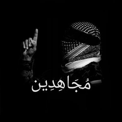 Gammadaa raabii Profile Picture