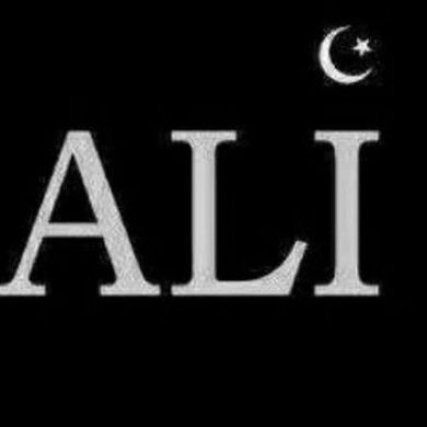 Xamidov8556 Profile Picture