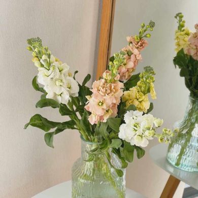 nazlielchin Profile Picture