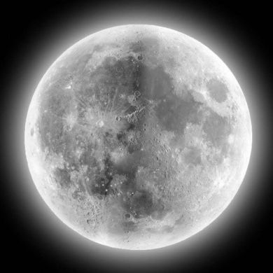 orqoyin Profile Picture