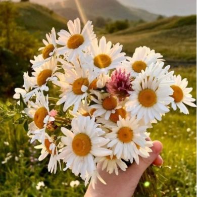 umma1710318823 Profile Picture