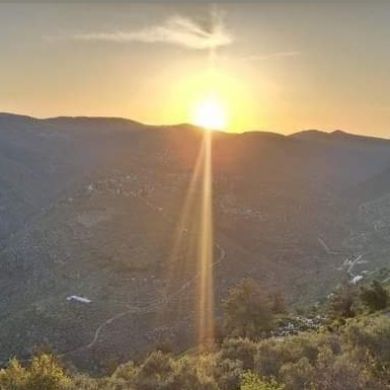 Ima sha Profile Picture