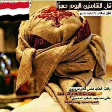 algrfi Profile Picture