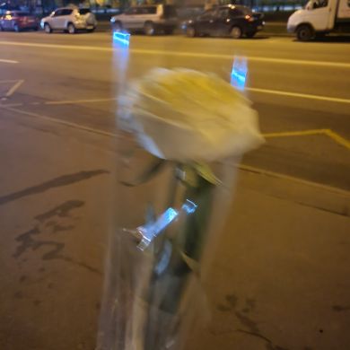 sevinchimu profile picture