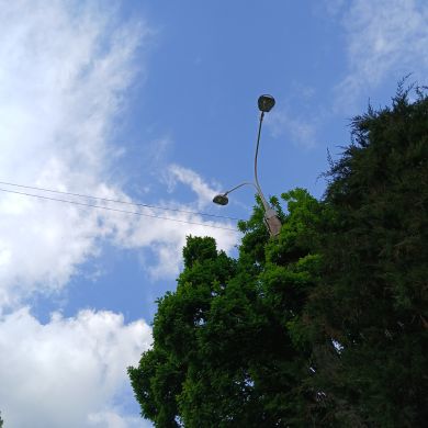 Melek Nuriyya Profile Picture