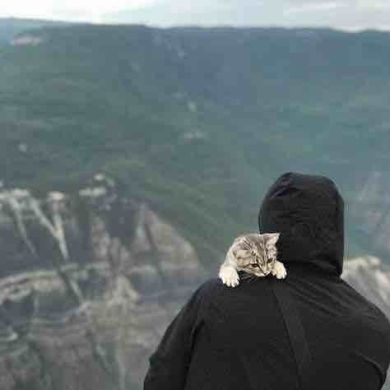 Sadyh Karabay Profile Picture